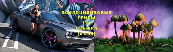 гидра Протвино